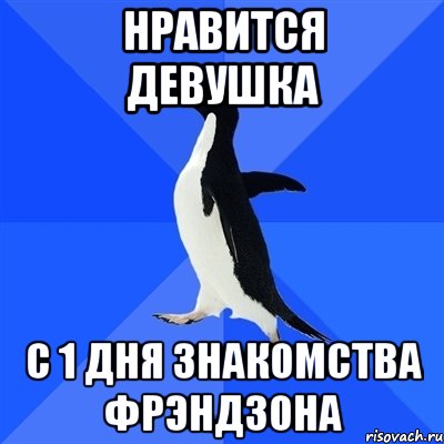 нравится девушка с 1 дня знакомства фрэндзона, Мем  Социально-неуклюжий пингвин