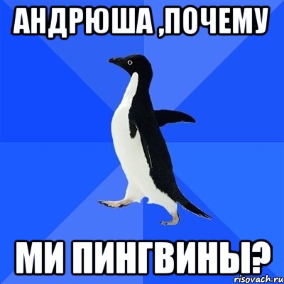 андрюша ,почему ми пингвины?, Мем  Социально-неуклюжий пингвин