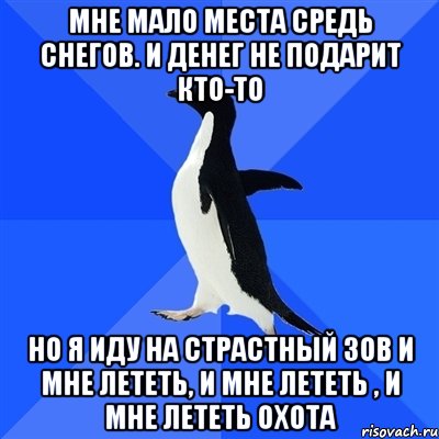 мне мало места средь снегов. и денег не подарит кто-то но я иду на страстный зов и мне лететь, и мне лететь , и мне лететь охота, Мем  Социально-неуклюжий пингвин