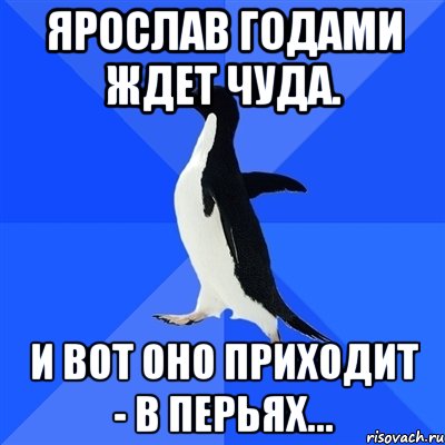 ярослав годами ждет чуда. и вот оно приходит - в перьях..., Мем  Социально-неуклюжий пингвин