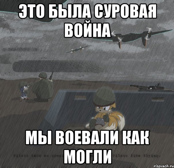 это была суровая война мы воевали как могли, Мем соник