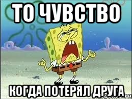 то чувство когда потерял друга, Мем Спанч Боб плачет