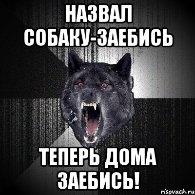 назвал собаку-заебись теперь дома заебись!, Мем Сумасшедший волк