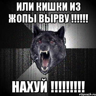 или кишки из жопы вырву !!! нахуй !!!, Мем Сумасшедший волк