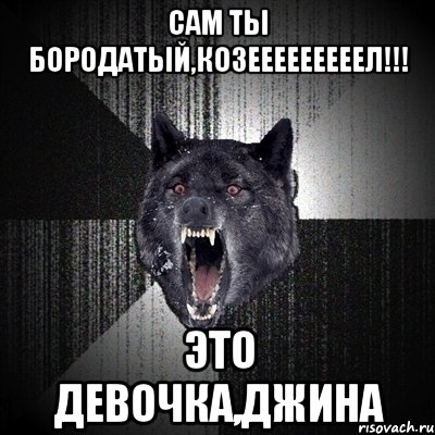 сам ты бородатый,козееееееееел!!! это девочка,джина, Мем Сумасшедший волк