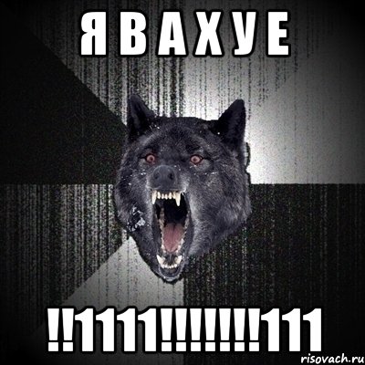 я в а х у е !!1111!!!111, Мем Сумасшедший волк