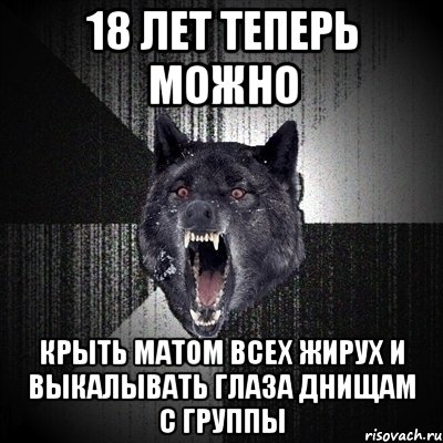 18 лет теперь можно крыть матом всех жирух и выкалывать глаза днищам с группы, Мем Сумасшедший волк