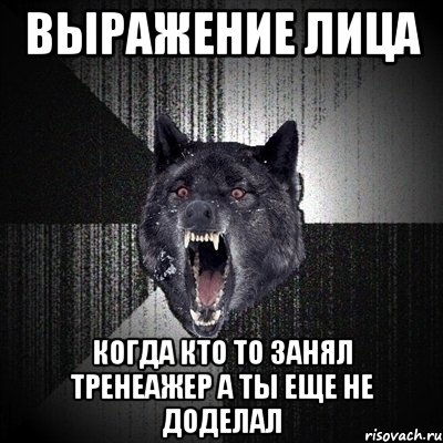 выражение лица когда кто то занял тренеажер а ты еще не доделал, Мем Сумасшедший волк