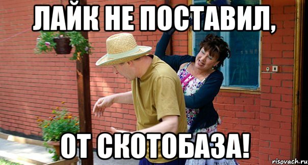 лайк не поставил, от скотобаза!