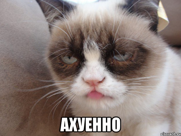  ахуенно, Мем т
