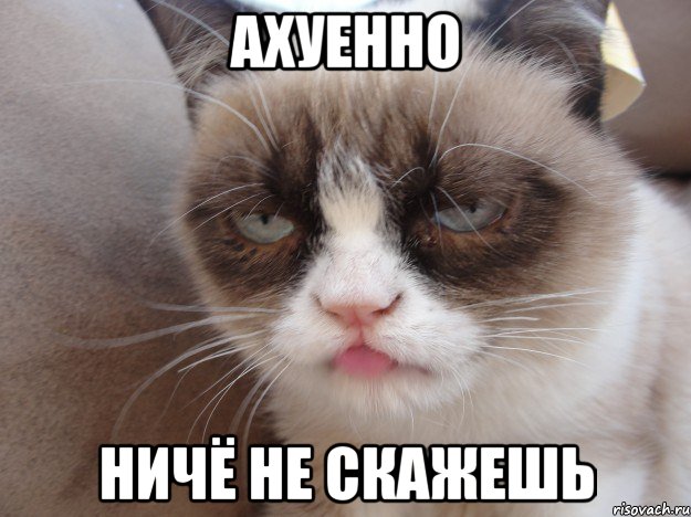 ахуенно ничё не скажешь, Мем т