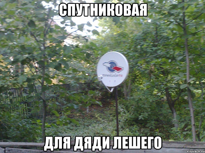 спутниковая для дяди лешего, Мем тарелка