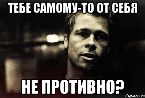 тебе самому-то от себя не противно?, Мем Тайлер