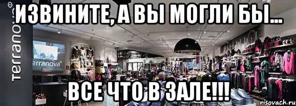 извините, а вы могли бы... все что в зале!!!, Мем terranova