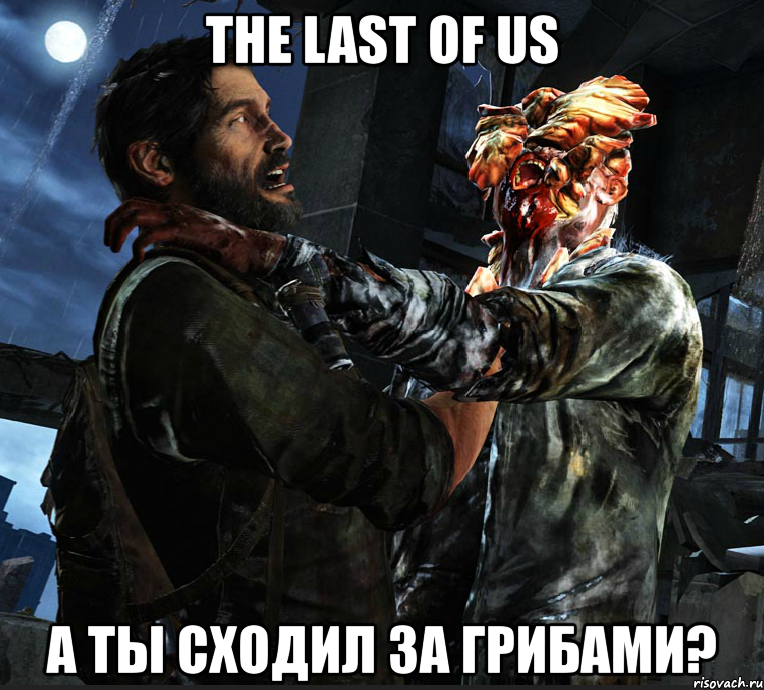 the last of us а ты сходил за грибами?
