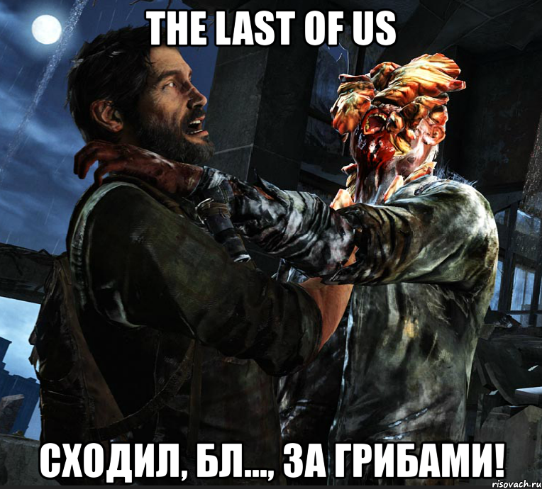 the last of us сходил, бл..., за грибами!