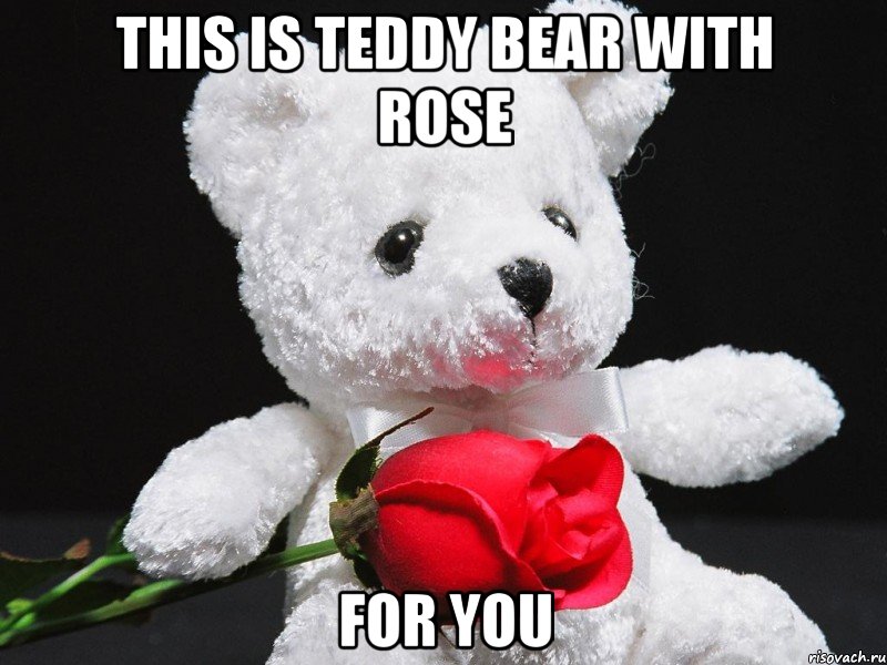 this is teddy bear with rose for you, Мем This teddy