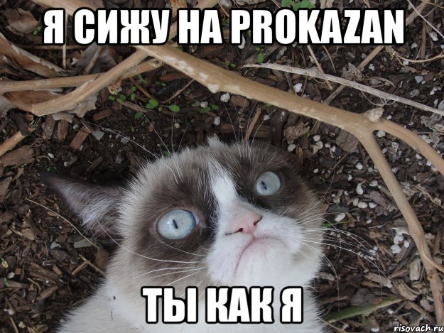 я сижу на prokazan ты как я, Мем ьти