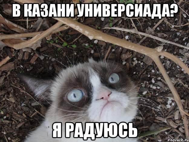 в казани универсиада? я радуюсь, Мем ьти
