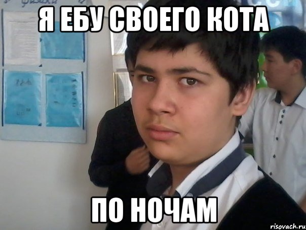 я ебу своего кота по ночам, Мем Тима