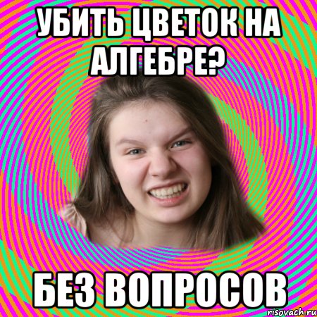 убить цветок на алгебре? без вопросов, Мем типичная дашка