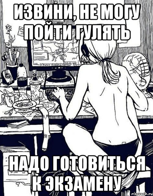 извини, не могу пойти гулять надо готовиться к экзамену, Мем Типичная геймерша