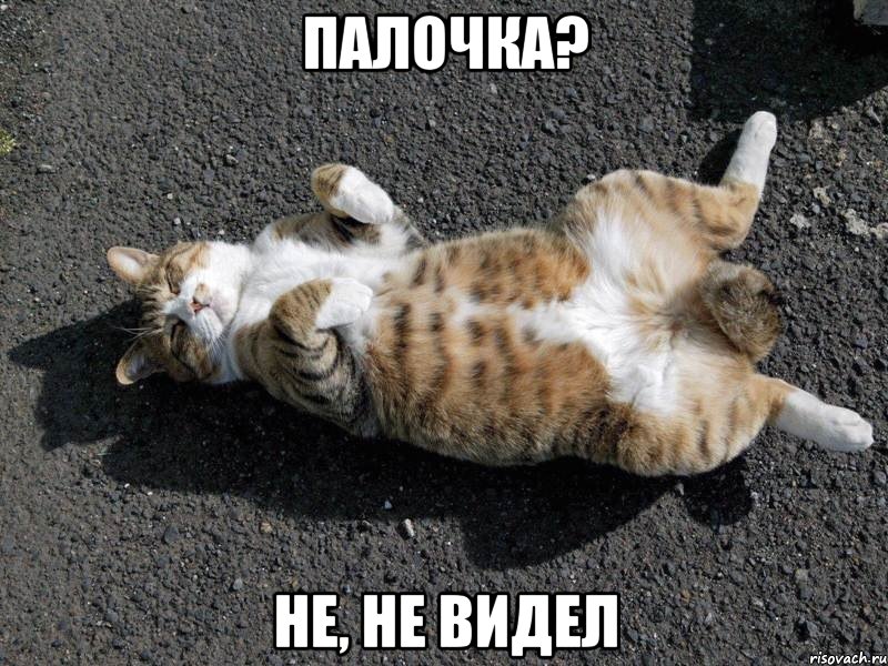 палочка? не, не видел, Мем Типичные одиночки