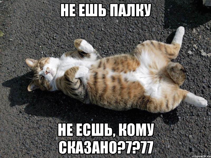 не ешь палку не есшь, кому сказано?7?77, Мем Типичные одиночки
