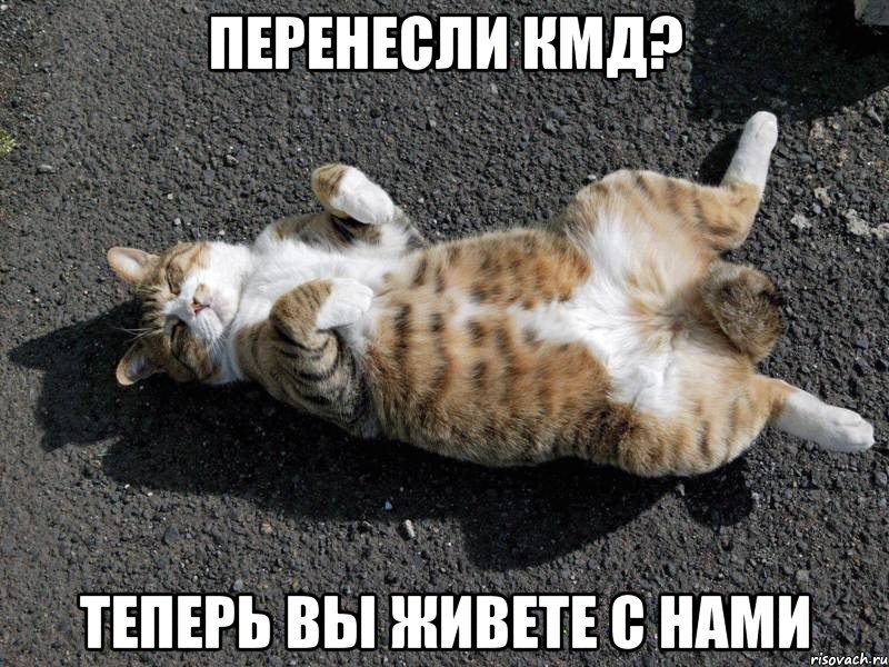 перенесли кмд? теперь вы живете с нами, Мем Типичные одиночки