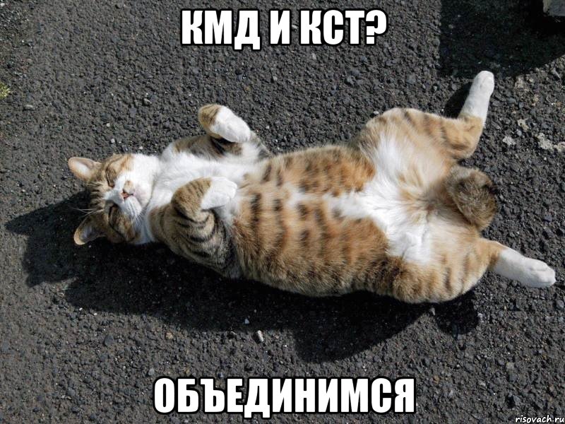 кмд и кст? объединимся, Мем Типичные одиночки