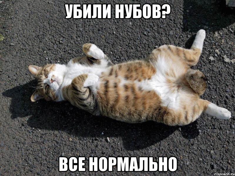 убили нубов? все нормально, Мем Типичные одиночки
