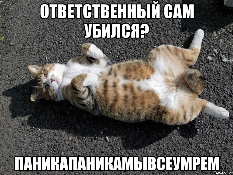 ответственный сам убился? паникапаникамывсеумрем, Мем Типичные одиночки