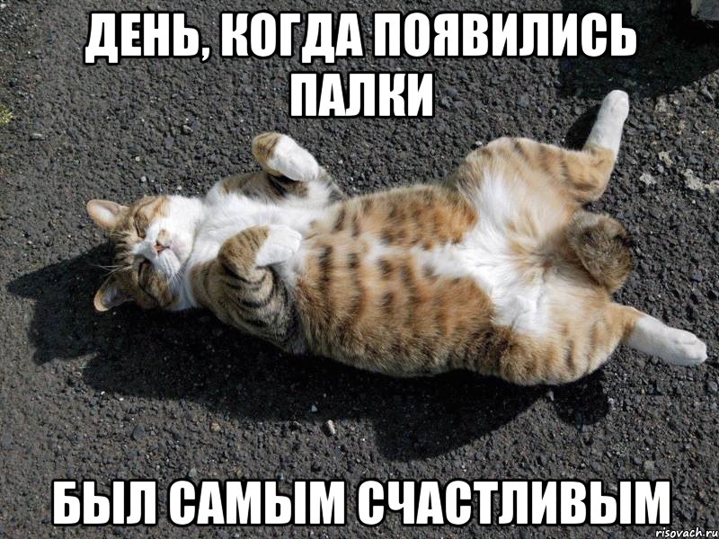 день, когда появились палки был самым счастливым, Мем Типичные одиночки