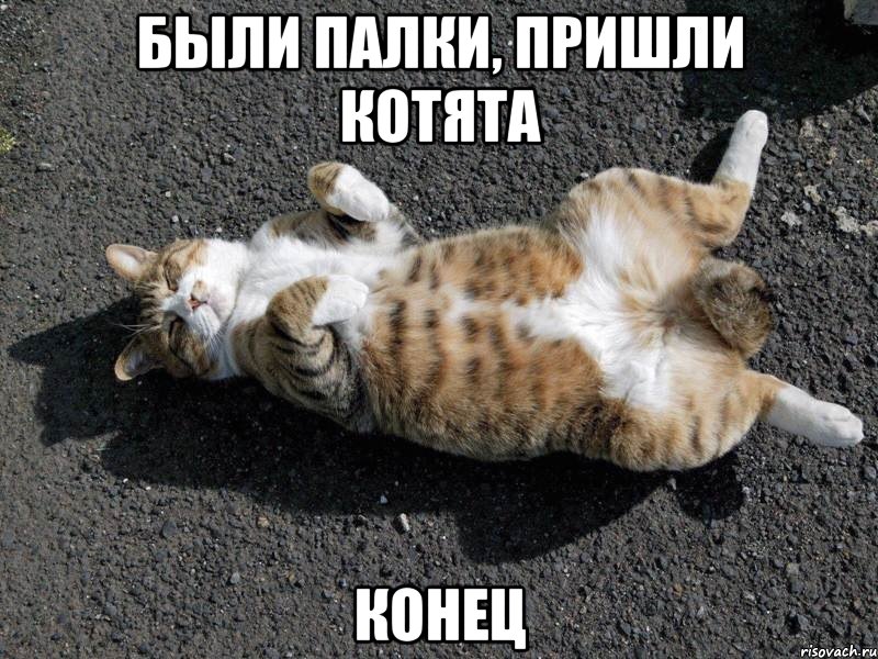 были палки, пришли котята конец, Мем Типичные одиночки