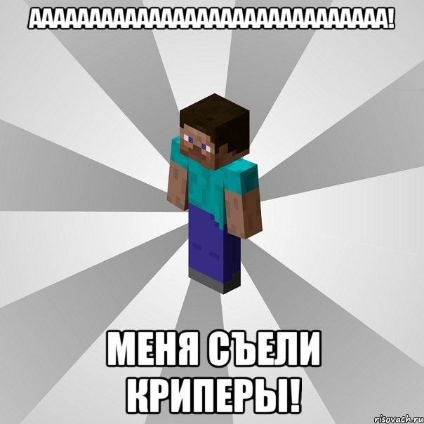 аааааааааааааааааааааааааааааа! меня съели криперы!, Мем Типичный игрок Minecraft