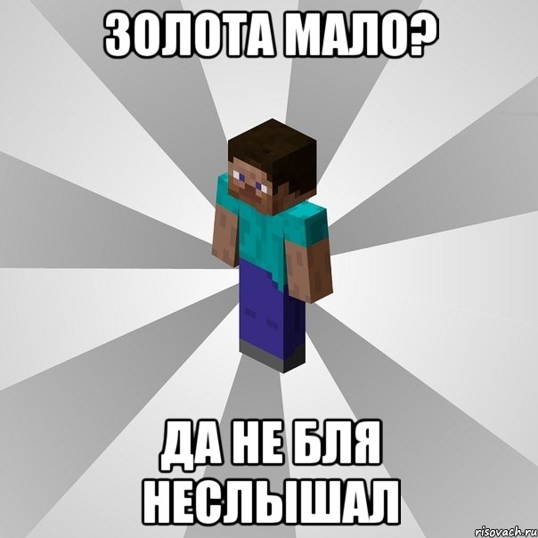 золота мало? да не бля неслышал, Мем Типичный игрок Minecraft