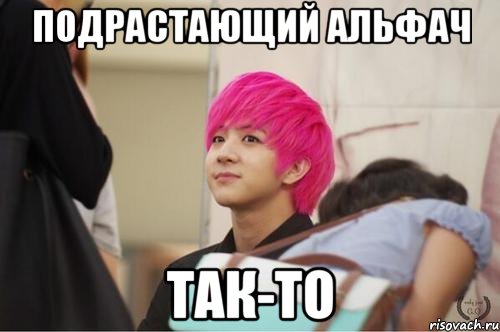 подрастающий альфач так-то, Мем Типичный Громушка