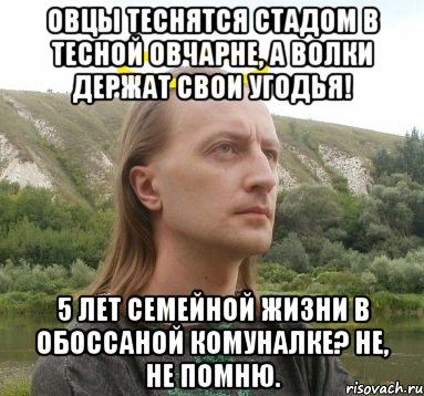 овцы теснятся стадом в тесной овчарне, а волки держат свои угодья! 5 лет семейной жизни в обоссаной комуналке? не, не помню., Мем типичный скрытимир