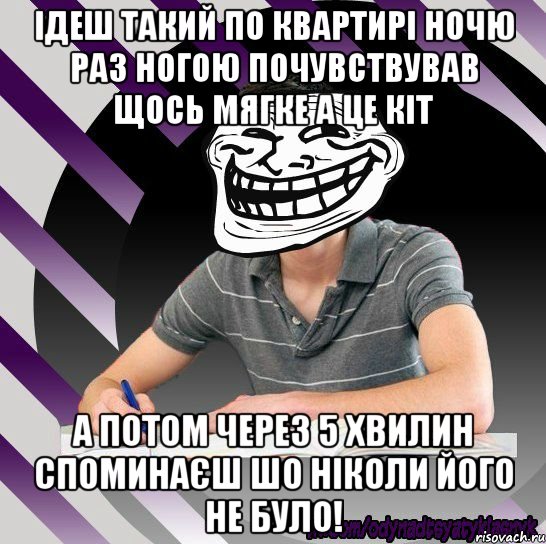 ідеш такий по квартирі ночю раз ногою почувствував щось мягке а це кіт а потом через 5 хвилин споминаєш шо ніколи його не було!