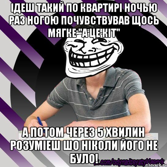 ідеш такий по квартирі ночью раз ногою почувствував щось мягке "а це кіт" а потом через 5 хвилин розуміеш шо ніколи його не було!, Мем Типодинадцятикласник Тролфейс