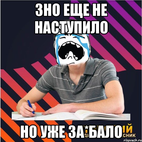 зно еще не наступило но уже за*бало, Мем Типовий одинадцятикласник