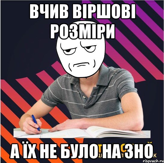 вчив віршові розміри а їх не було на зно, Мем Типовий одинадцятикласник