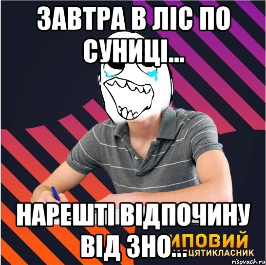 завтра в ліс по суниці... нарешті відпочину від зно..., Мем Типовий одинадцятикласник