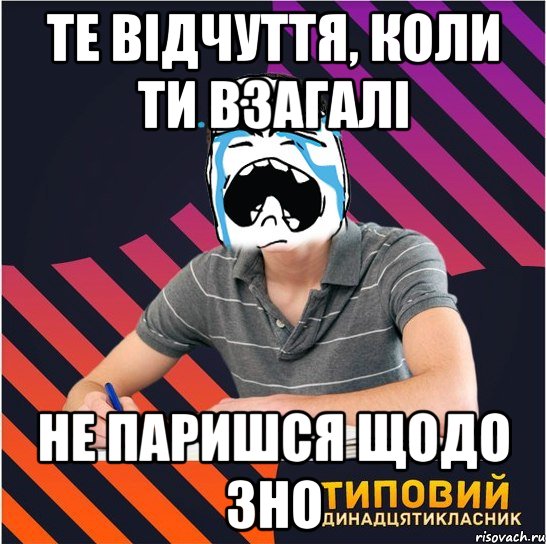 те відчуття, коли ти взагалі не паришся щодо зно, Мем Типовий одинадцятикласник