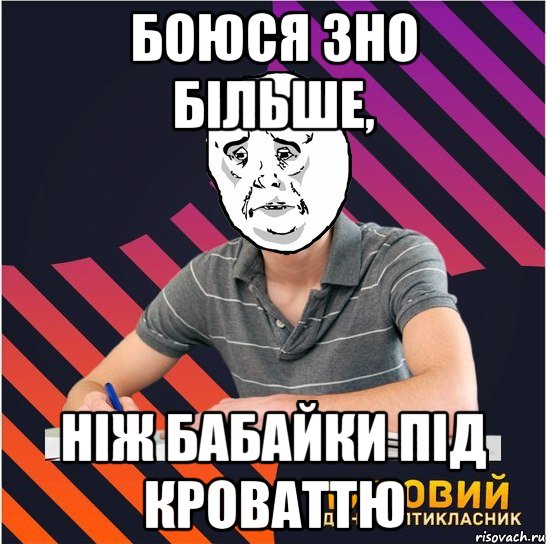 боюся зно більше, ніж бабайки під кроваттю, Мем Типовий одинадцятикласник