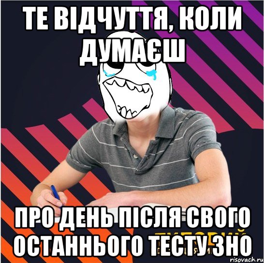 те відчуття, коли думаєш про день після свого останнього тесту зно, Мем Типовий одинадцятикласник