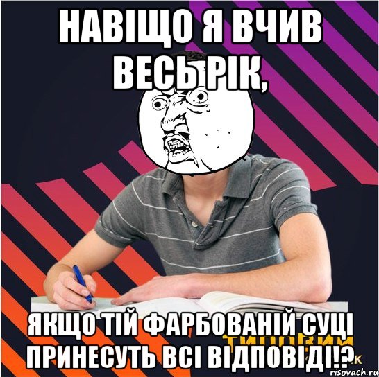 навіщо я вчив весь рік, якщо тій фарбованій суці принесуть всі відповіді!?, Мем Типовий одинадцятикласник