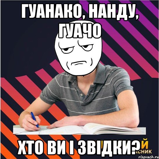 гуанако, нанду, гуачо хто ви і звідки?, Мем Типовий одинадцятикласник