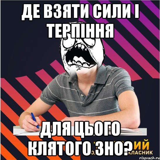 де взяти сили і терпіння для цього клятого зно?, Мем Типовий одинадцятикласник