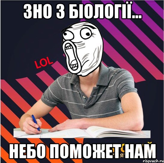 зно з біології... небо поможет нам, Мем Типовий одинадцятикласник